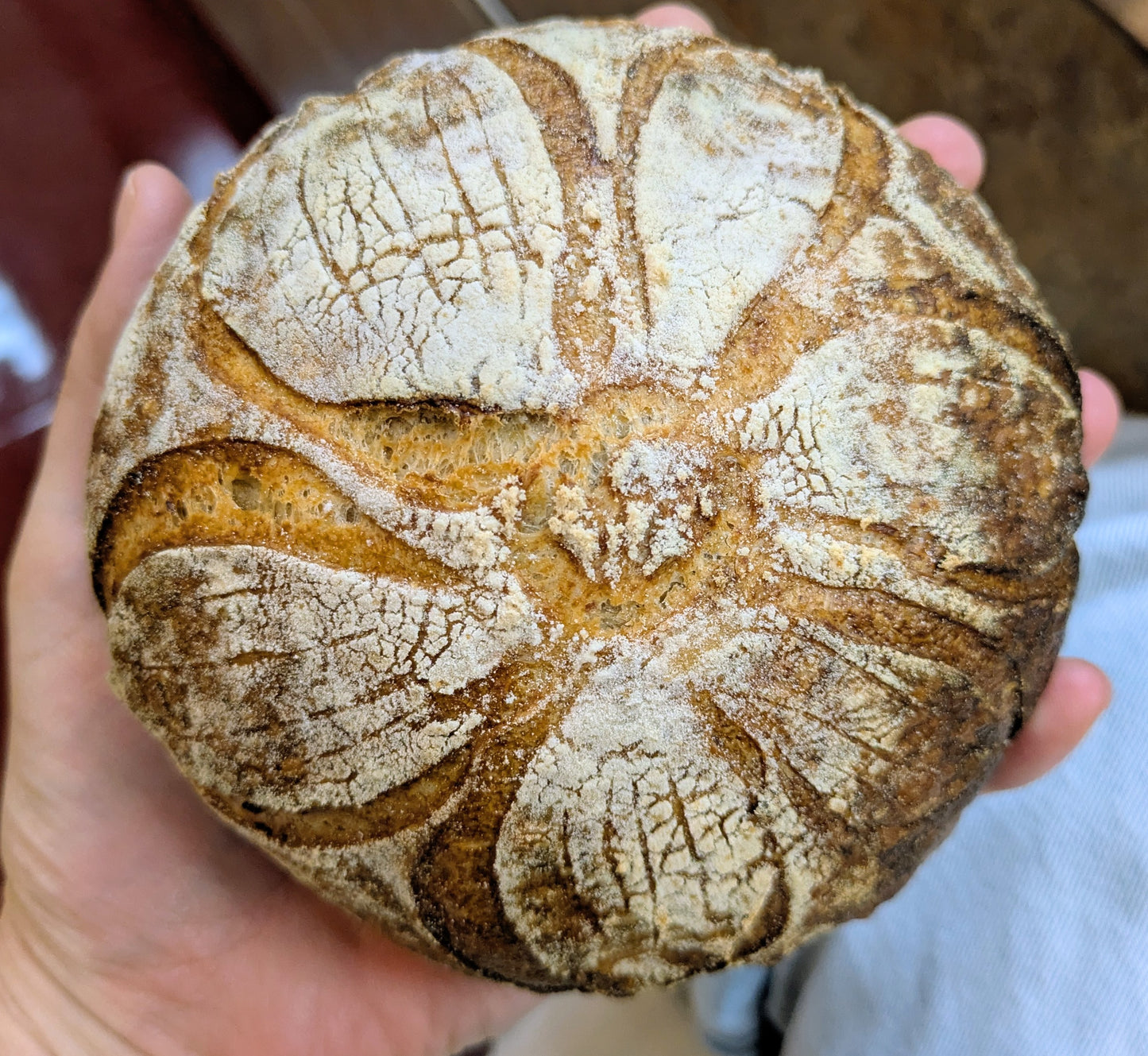 Mini Boule Sampler Box