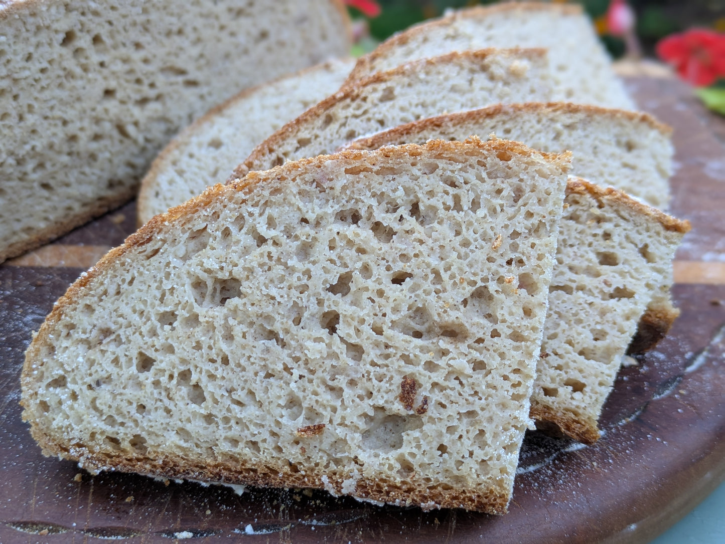 Sourdough Batard made with Gluten Alternative Grains