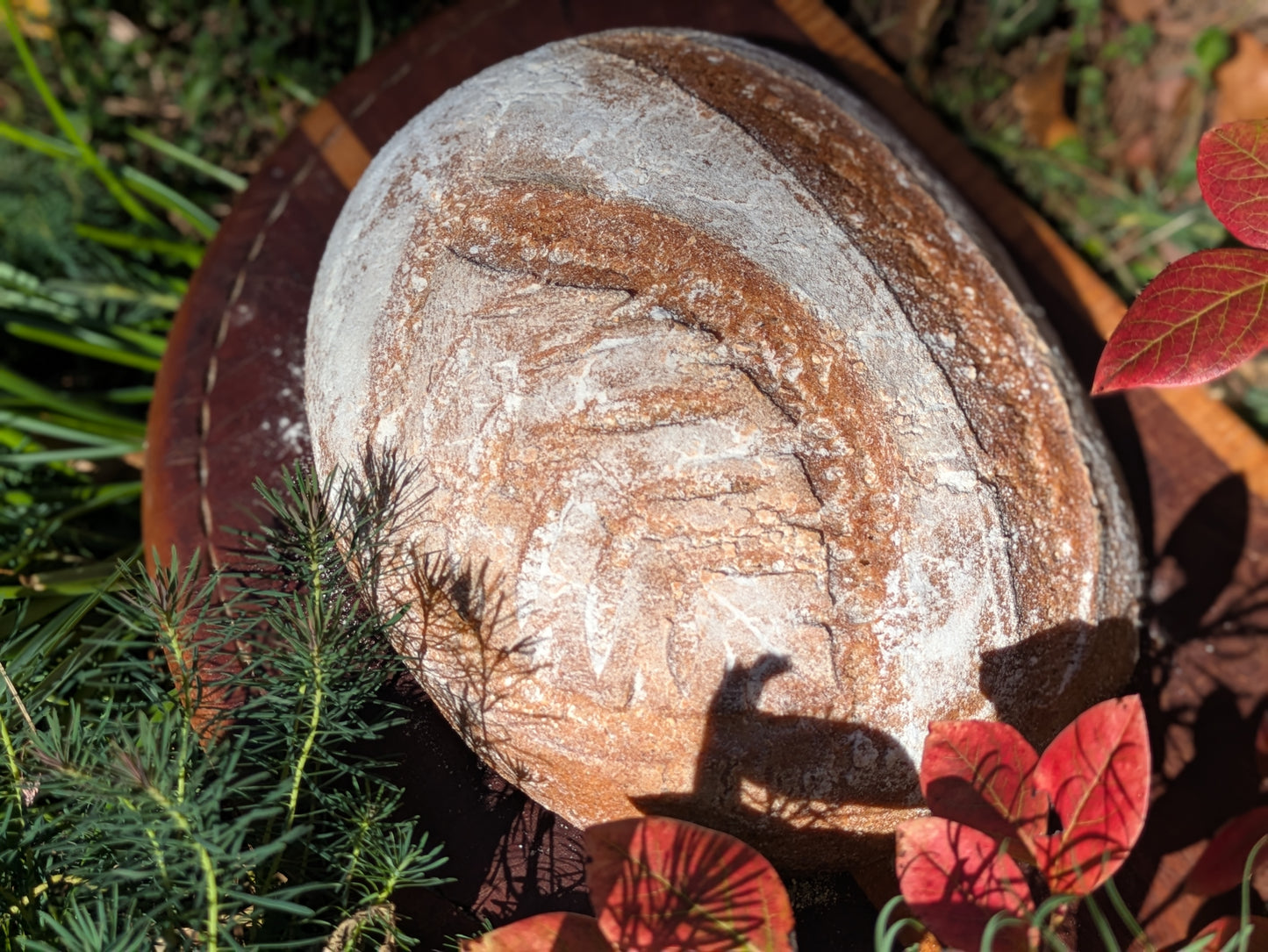 Sourdough Batard made with Gluten Alternative Grains