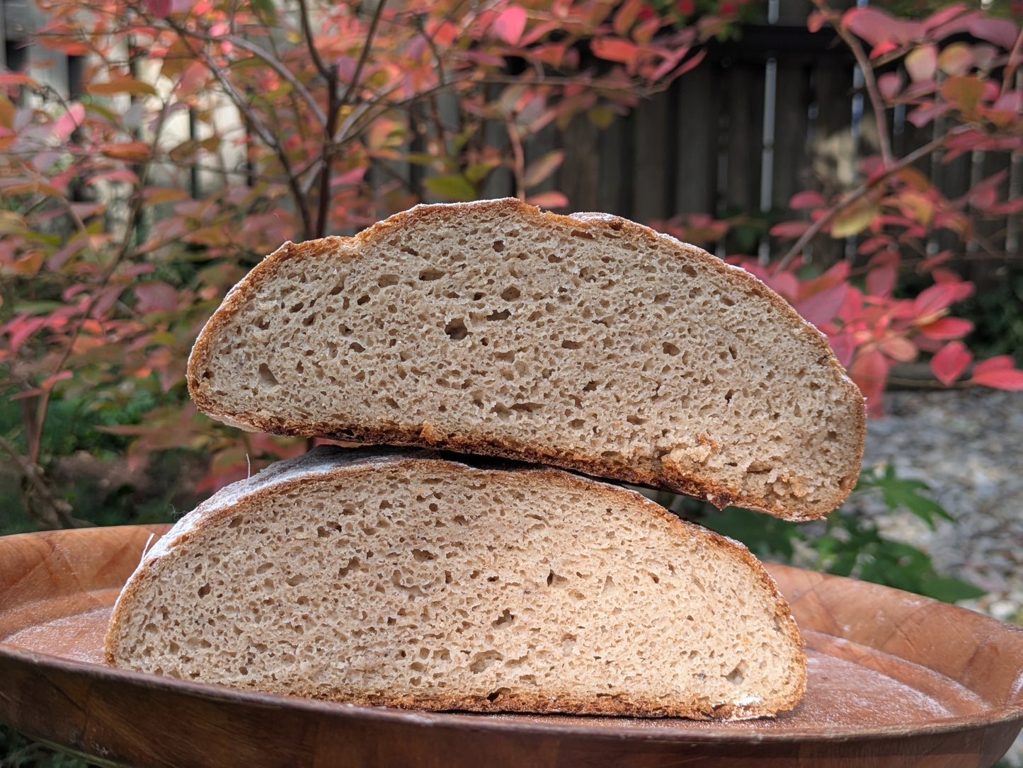Sourdough Batard made with Gluten Alternative Grains