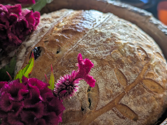 Olive Sourdough Boule