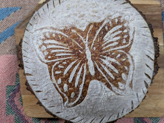 Blue Butterfly