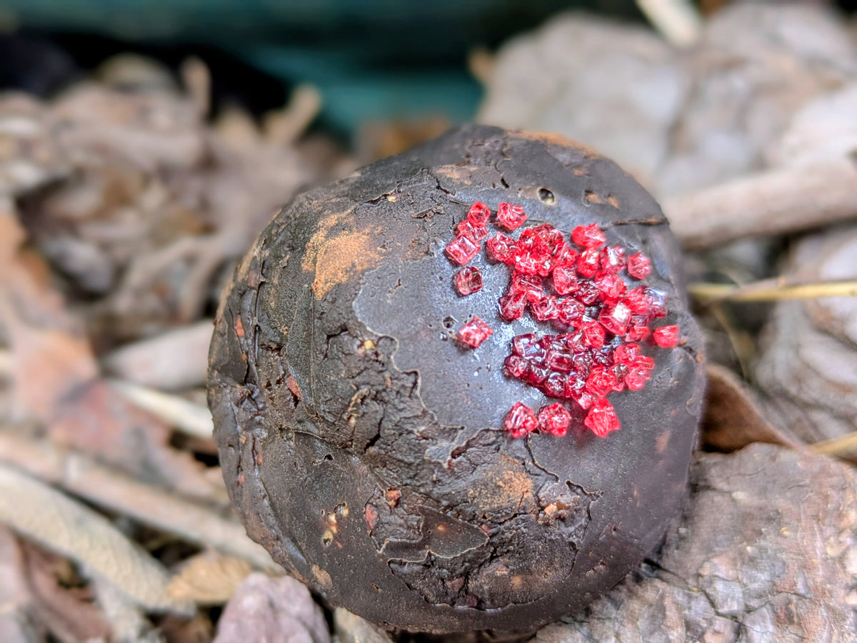 River Round: Chocolate Peppermint