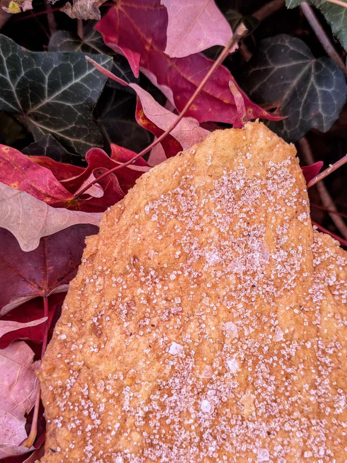 Pumpkin Chai
